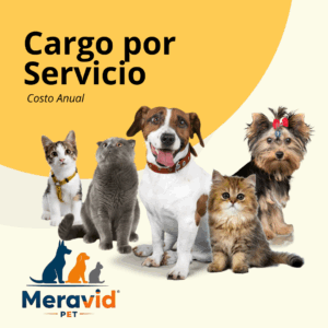 Suscripción  Anual