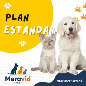 Plan Estándar