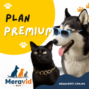 Plan Premium