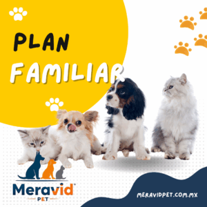 Plan Familiar