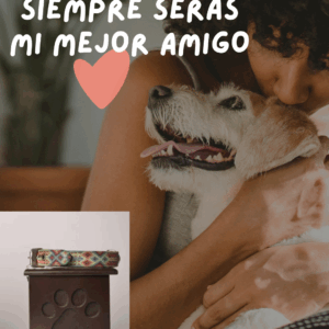 Servicio de Cremación y Urna TCH